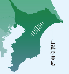 千葉県内のサンブスギの分布図